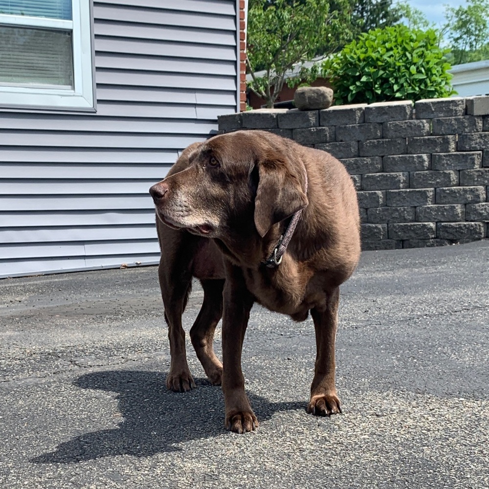 Meet your Posher, Leah